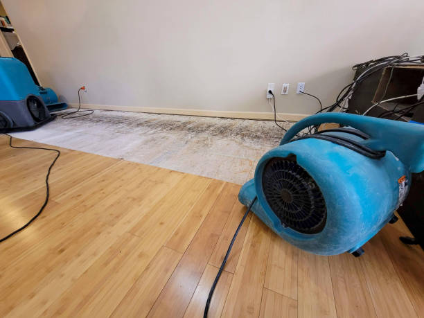 Professional Water Extraction technician working in Union City, OK